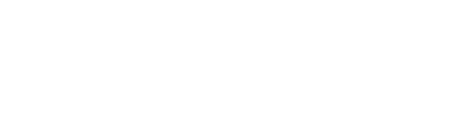 The Anthem difference